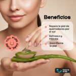 Aloe Vera 120 ml - Imagen 3