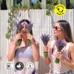 Acondicionador  Lavanda & Verbena 250 ml - Imagen 6